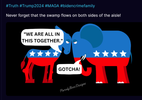 Swamp 1