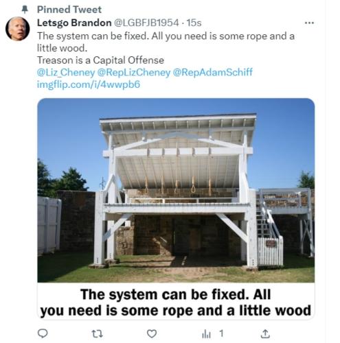 Letsgo Brandon Liz Cheney tweet