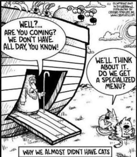 355490326_655688776600432_4503265849519136449_n