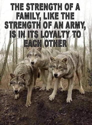 FB_IMG_1689062669888