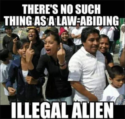 illegal immigration340