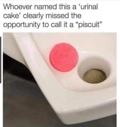 FB_IMG_1690419375644