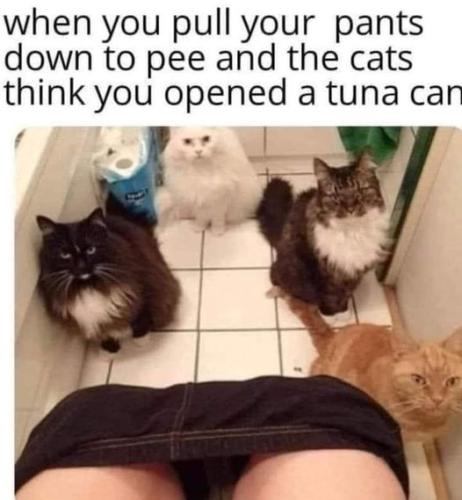 359500883_10226915071116050_638580723726929417_n