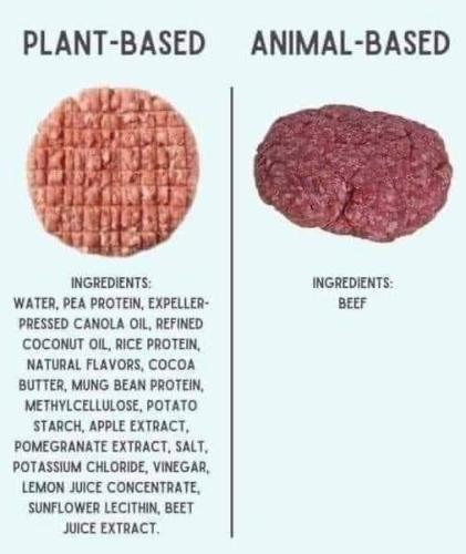 plant based