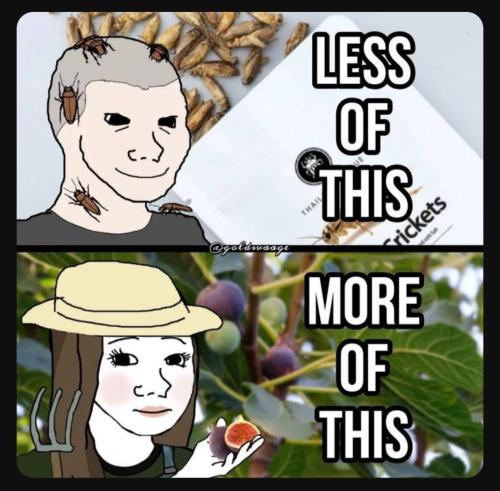 Screenshot_20230726_173912_YouTube