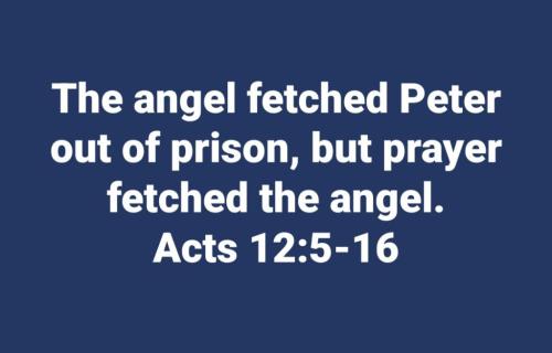 383827d7-1559-4106-b6f2-fca060d162eb