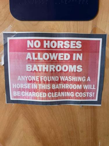 FB_IMG_1688501512659