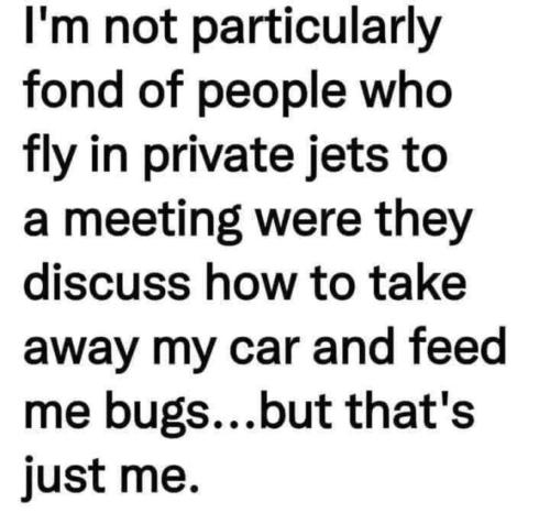 private_jets_feed_me_bugs_BS