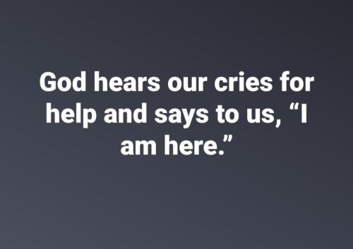 d777dd69-97fc-4f90-9a0e-70871fa11135