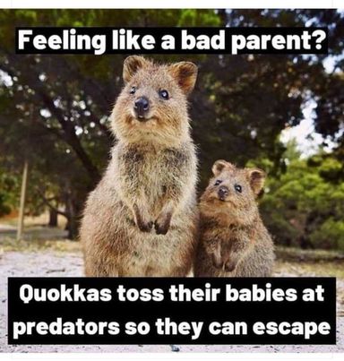 bad_parents