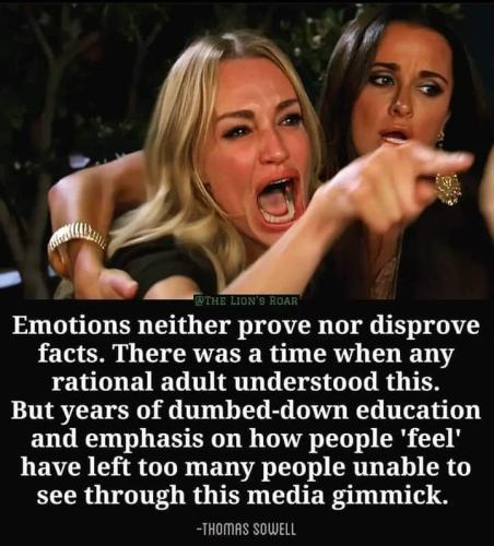 FB_IMG_1689096378490