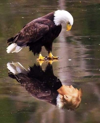 FB_IMG_1689218392564