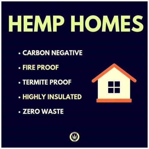hemp homes