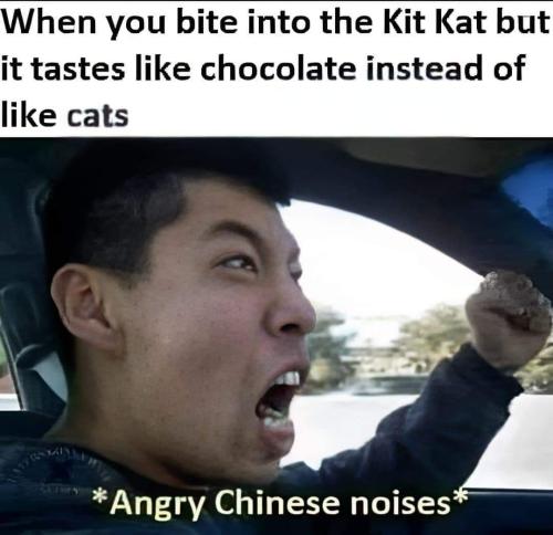 FB_IMG_1689624493241