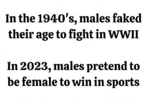 FB_IMG_1690568577491