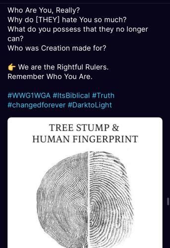 Screenshot_20230729_233556_Truth Social