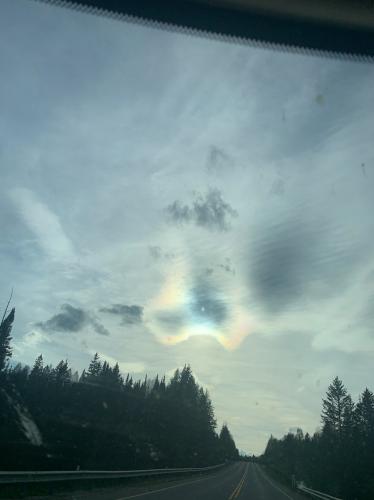 09F5E0F9-1539-40F3-81B9-7434CE66DD43