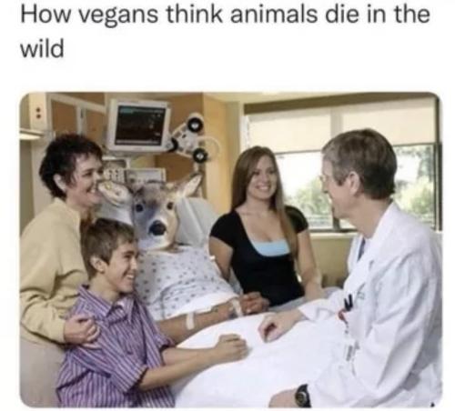 1689567932484