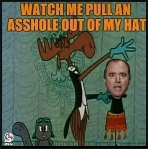 Schiff 2