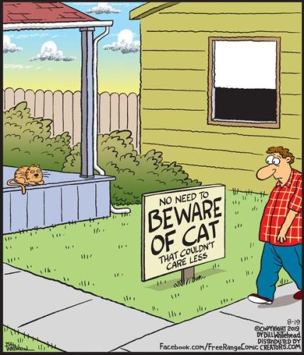 357145814_604295215137230_5190468149902205278_n