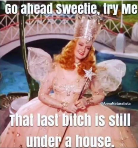 FB_IMG_1689707748494