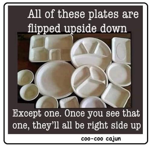 FB_IMG_1689185775138