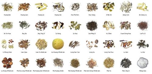 344368340_82250912288