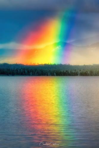 282665811_28694591700