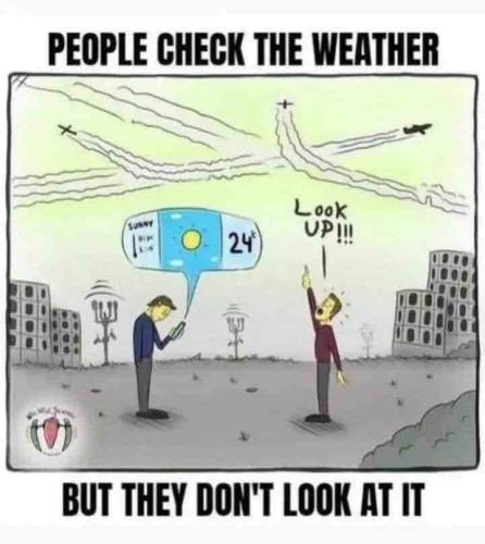 look up