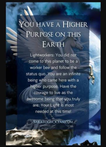 Screenshot_20230703_173558_YouTube