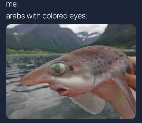 357707700_783264200172564_1573721020952631519_n