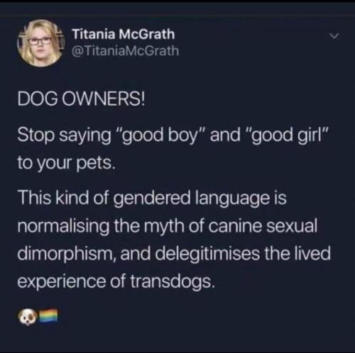 6c6ac57e-dc3e-4eef-8f3c-b0944e5cc064