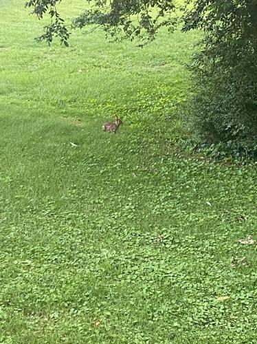 C8A69082-B653-49F2-8D1C-B8A2909261D8