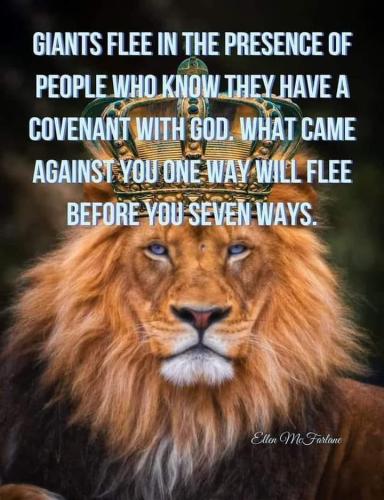 FB_IMG_1688693677296