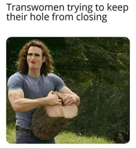 361944411_791794475986203_2766179366573399556_n