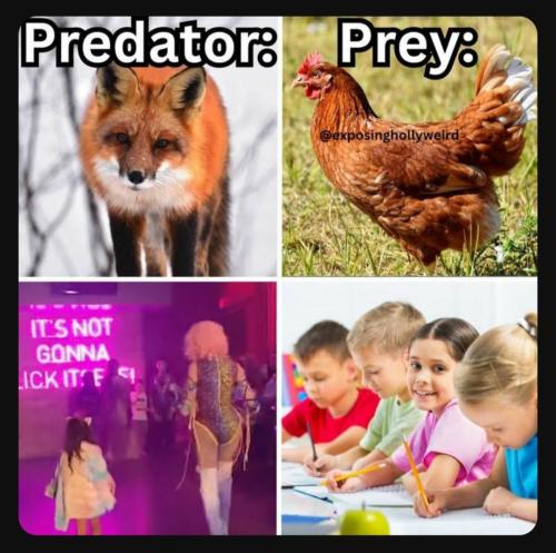 Screenshot_20230726_173852_YouTube