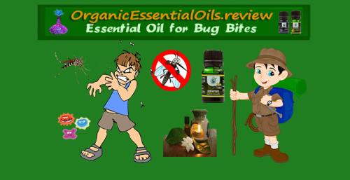 OrganicEssentialOils.review Essential Oil for Bug Bites