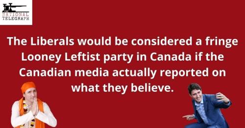 fringe looney leftist party