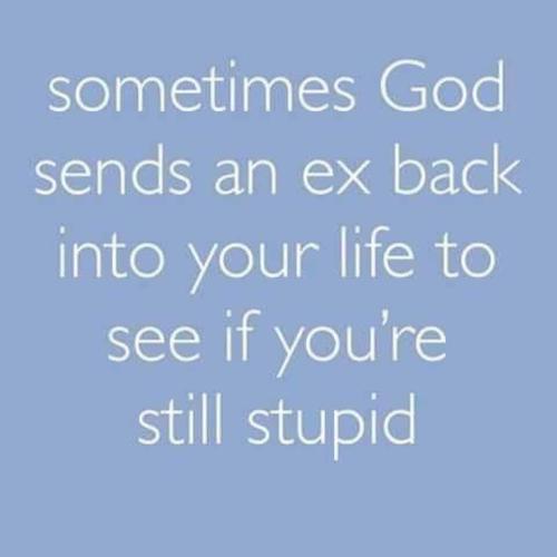 see if you are still