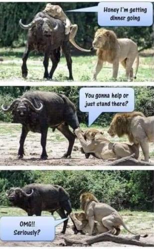 FB_IMG_1688499504395