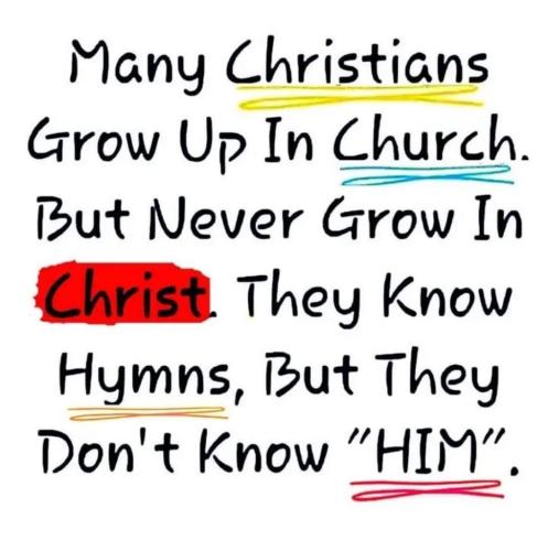 bc03cc31-beed-4026-9571-e484c038d8e6