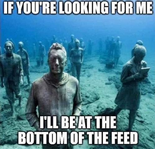 at the bottom of the news feed