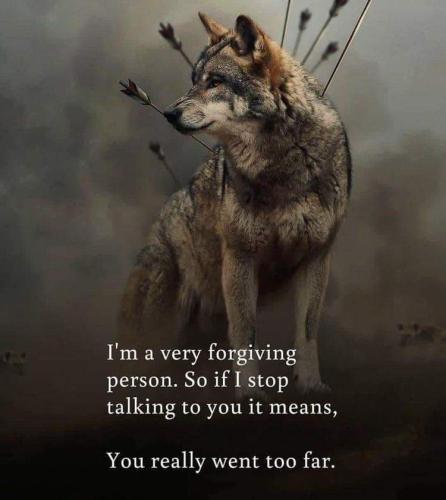 FB_IMG_1689450185433