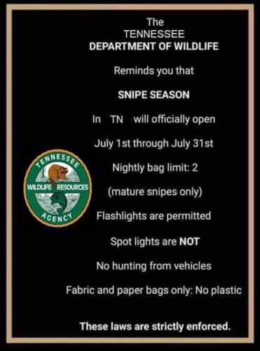 289254568_10223045943965997_7794438919126903147_n