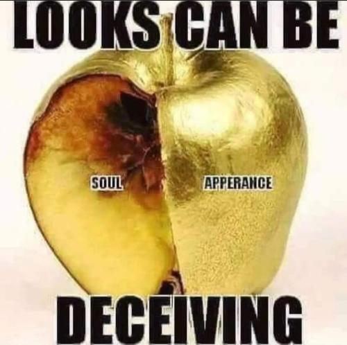 3c4e04e5-80a8-4f97-985c-2bb6d2397063