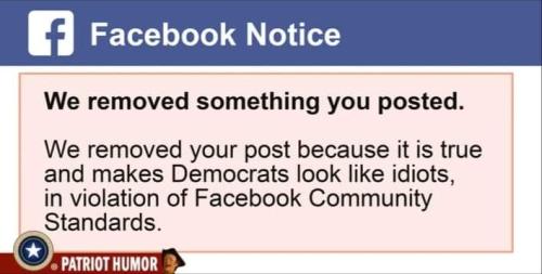 FB_IMG_1689526649634