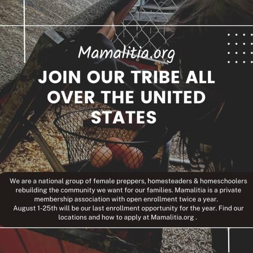 USA - Mamalitia - Open Enrollment - Find Your Tribe