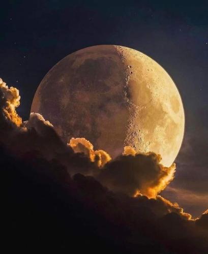 342739738_94642182002