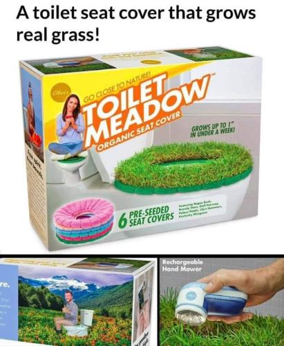 toilet meadow