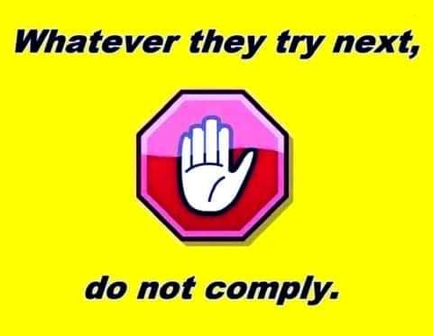 FB_IMG_1689008593925